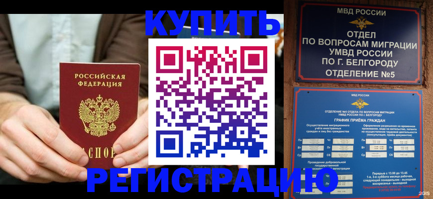 прописка 2025 в Заволжске